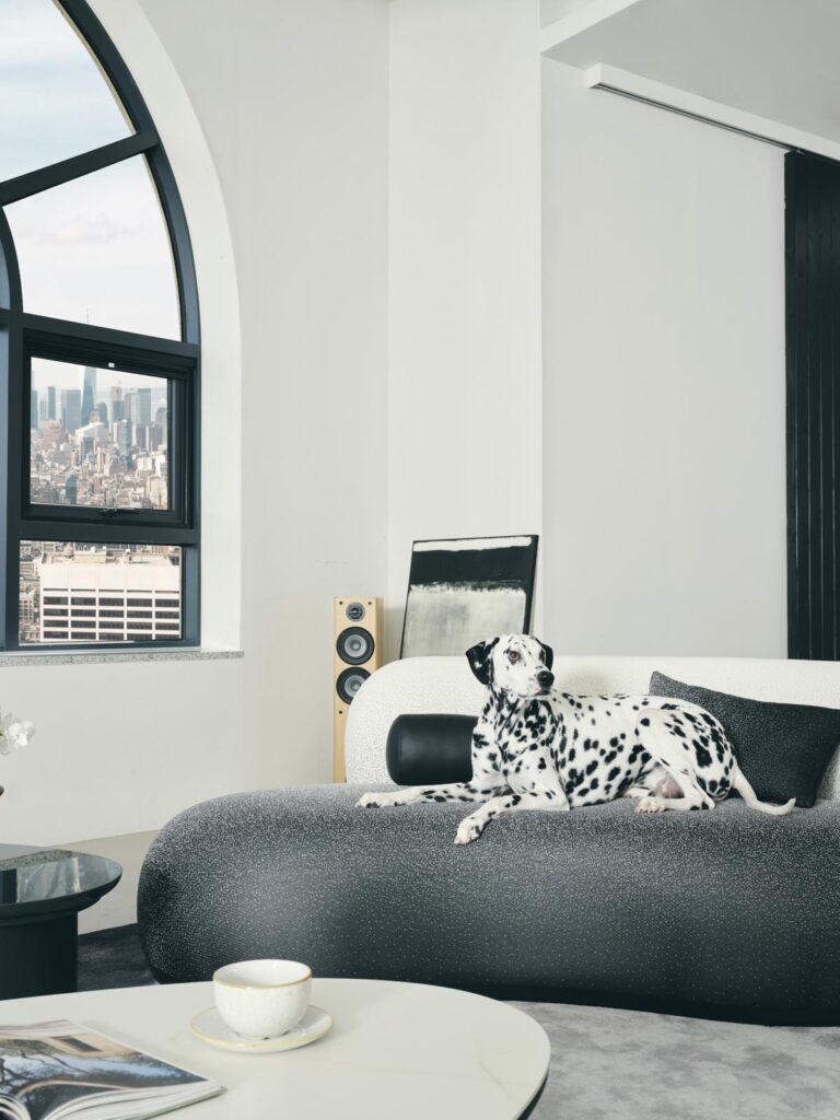 cosmic_3P_sofa10 cosmic sofa 코스믹소파