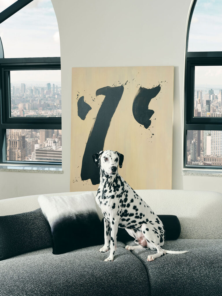 cosmic_sofa20 코스믹 소파