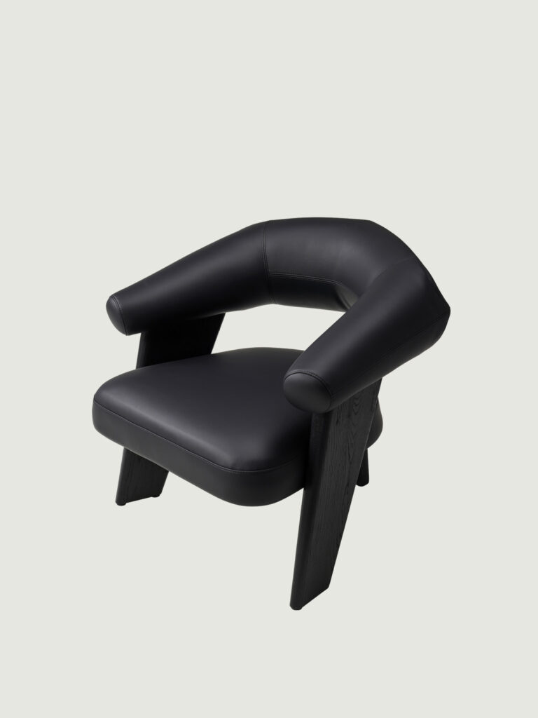 fly_chair_09 등받이와 팔걸이를 하나로 묶은 조형적 디자인 체어