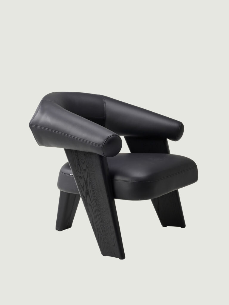 fly_chair_12 등받이와 팔걸이를 하나로 묶은 조형적 디자인 체어