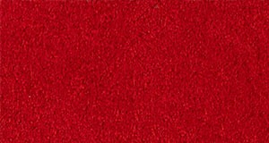 Goya 알칸타라 고야