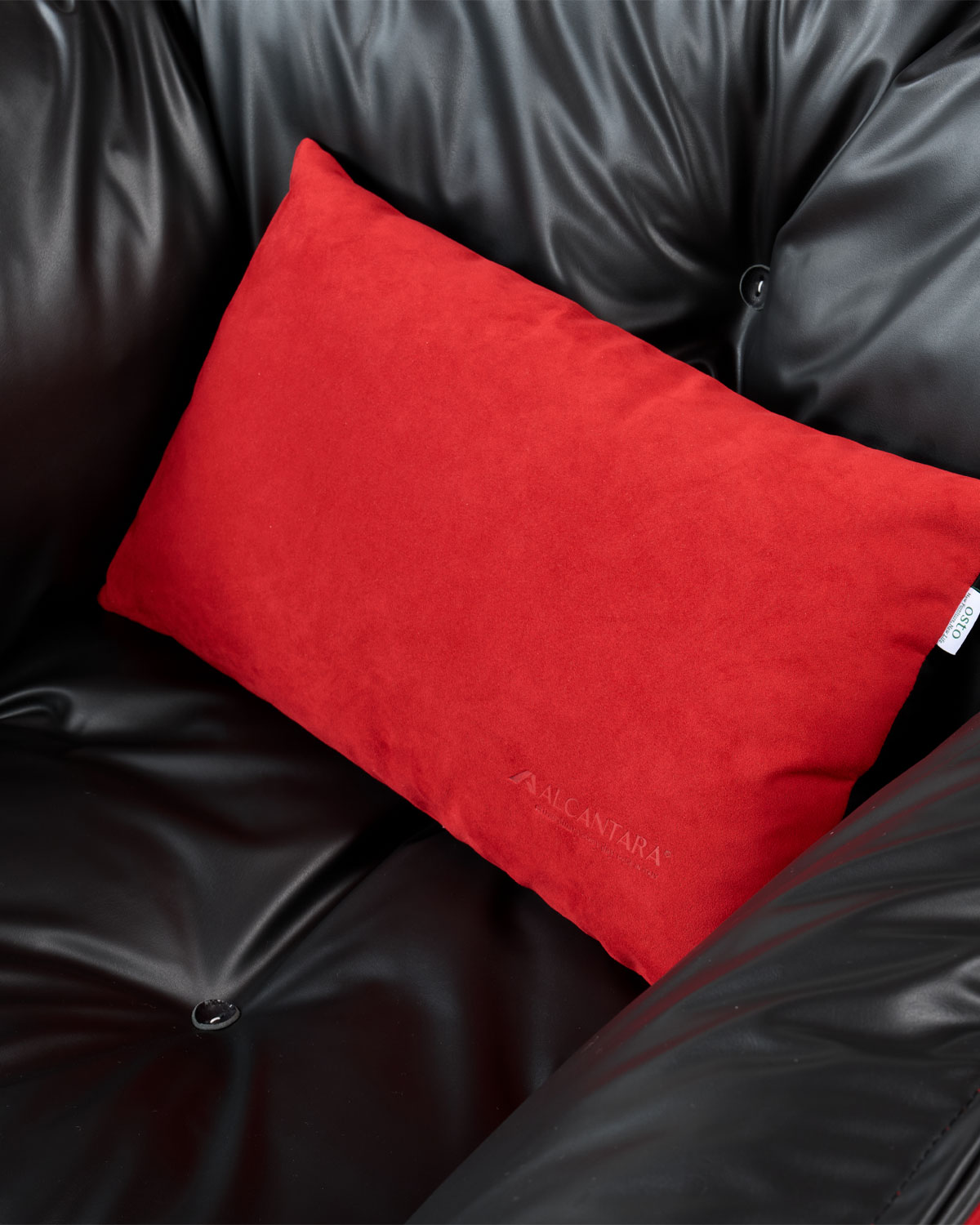 알칸토 비보 1인