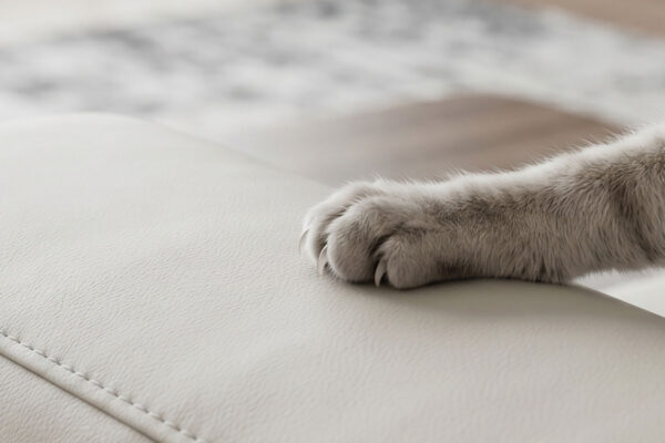 퓨라 에코 레더