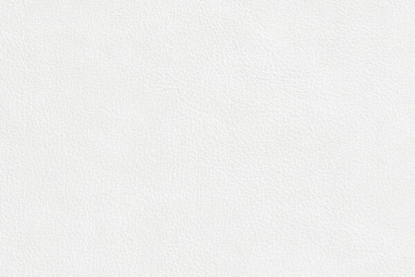 O_No11 White