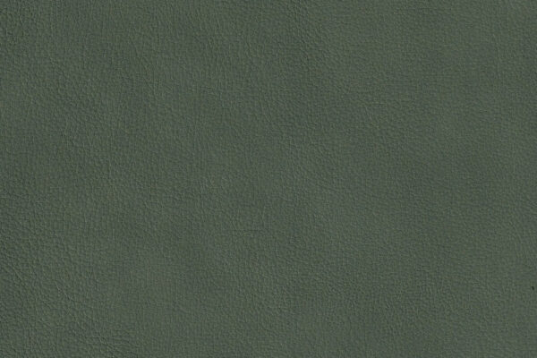 O_No15 Green