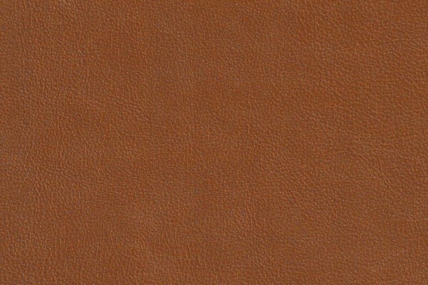O_No22 Rust