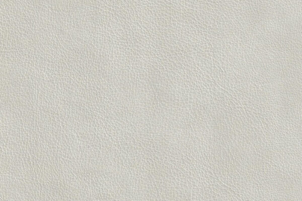 S_No01 Cream