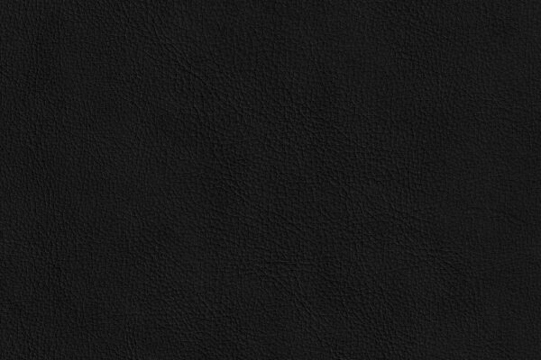 S_No20 Black