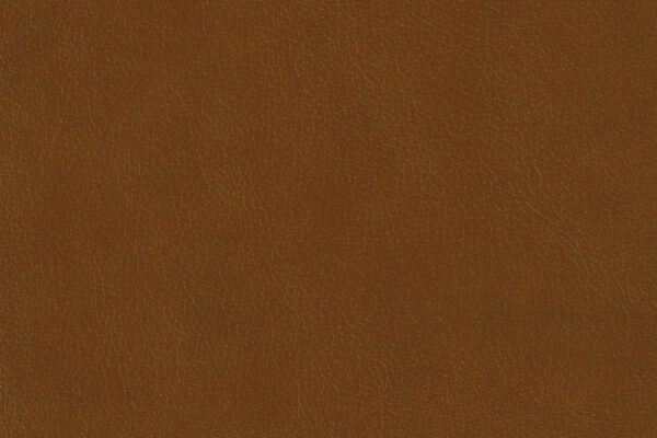 S_No22 Tan