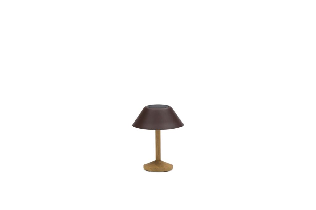 basic teak s cone