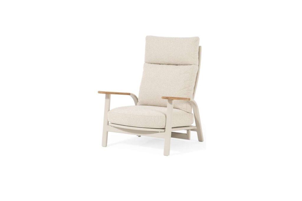 dandy neo recliner