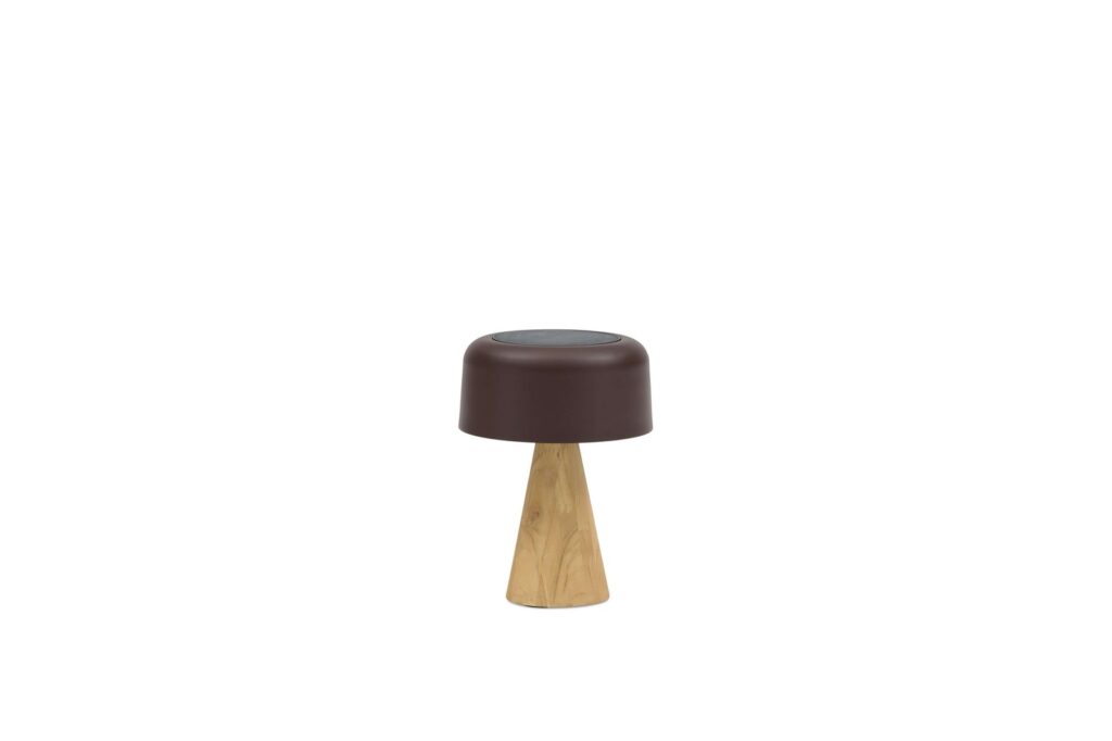 cone teak small