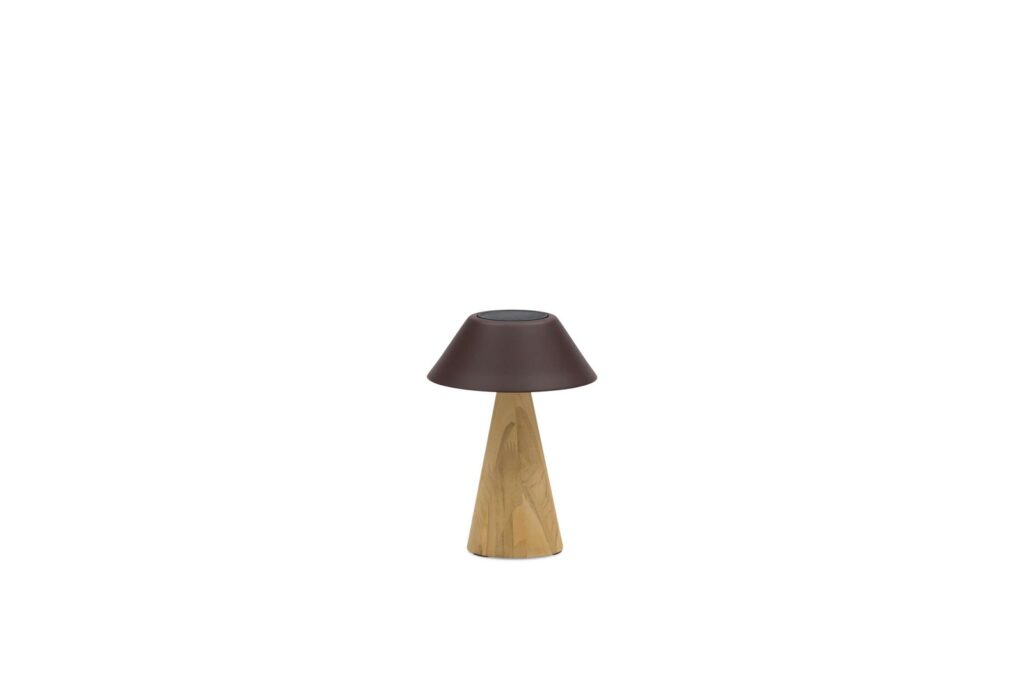 cone teak s cone