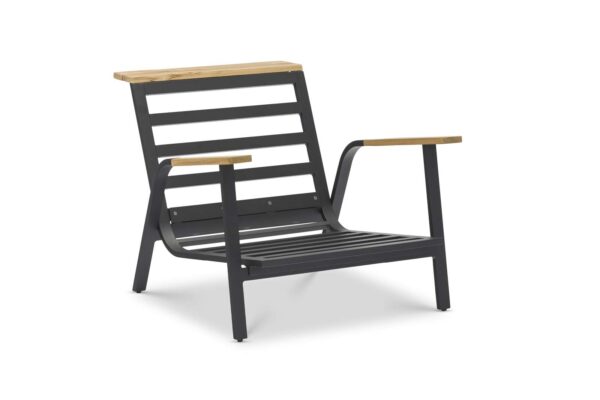 DANDY_1SEATER_TEA_FRAME_1 DANDY_1SEATER_TEA_FRAME_1